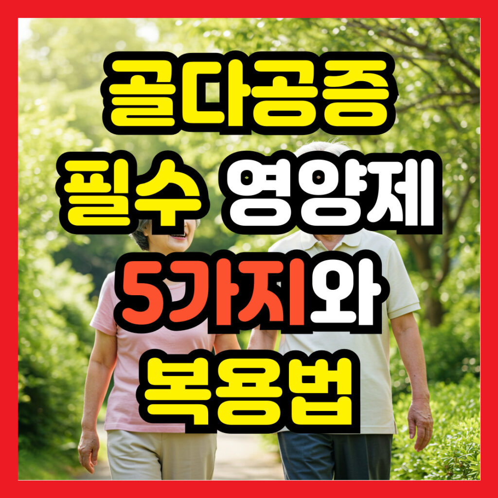 골다공증-필수-영양제