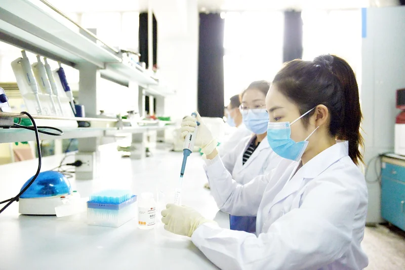대학교 학적부 증명서, 정부24 활용한 발급 방법