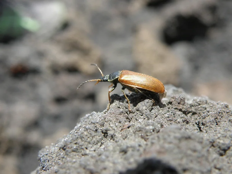 부동산 증여세 2025년 계산법 및 무료 계산기 안내