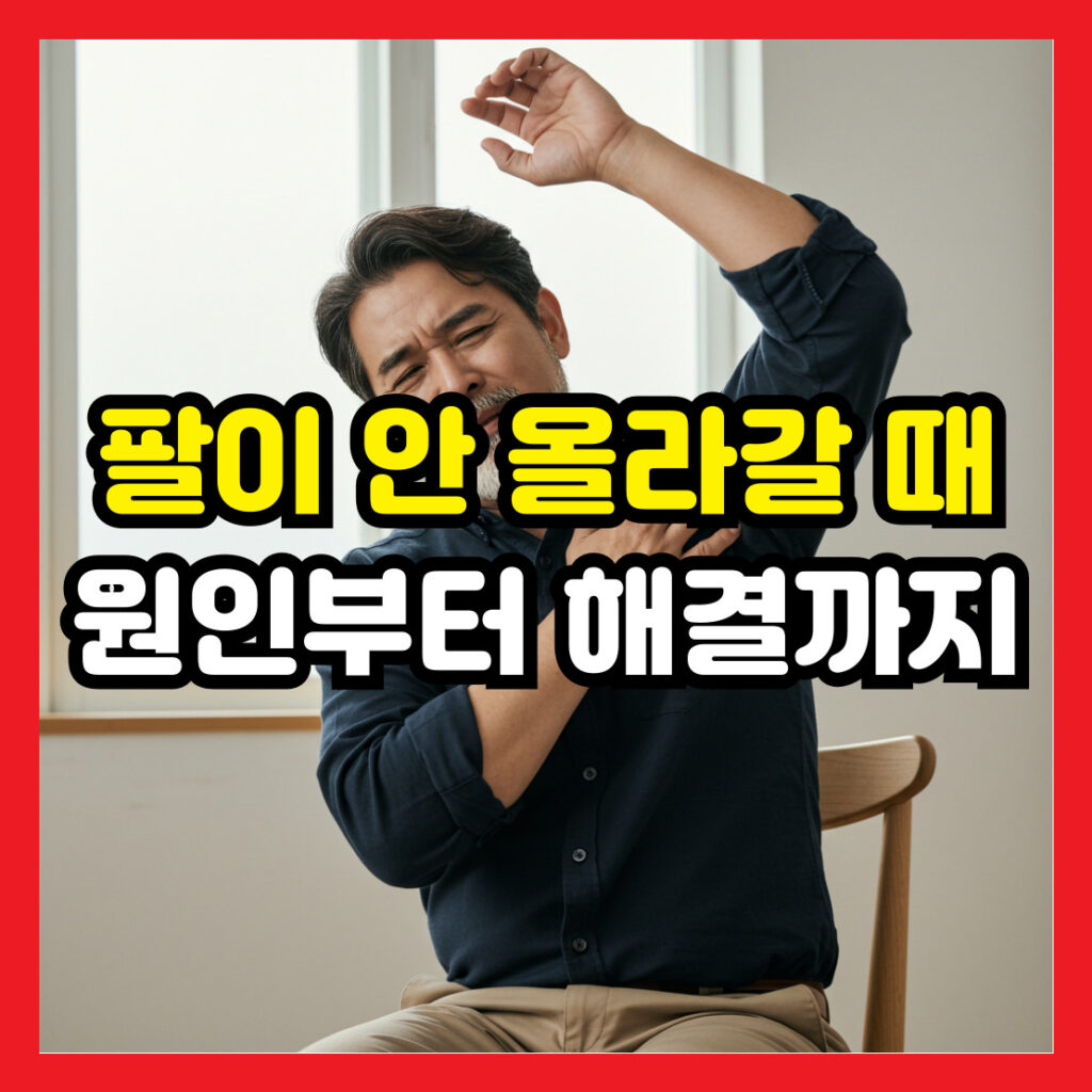 팔이 안 올라갈 때, 원인부터 해결까지 총정리 - roamoney