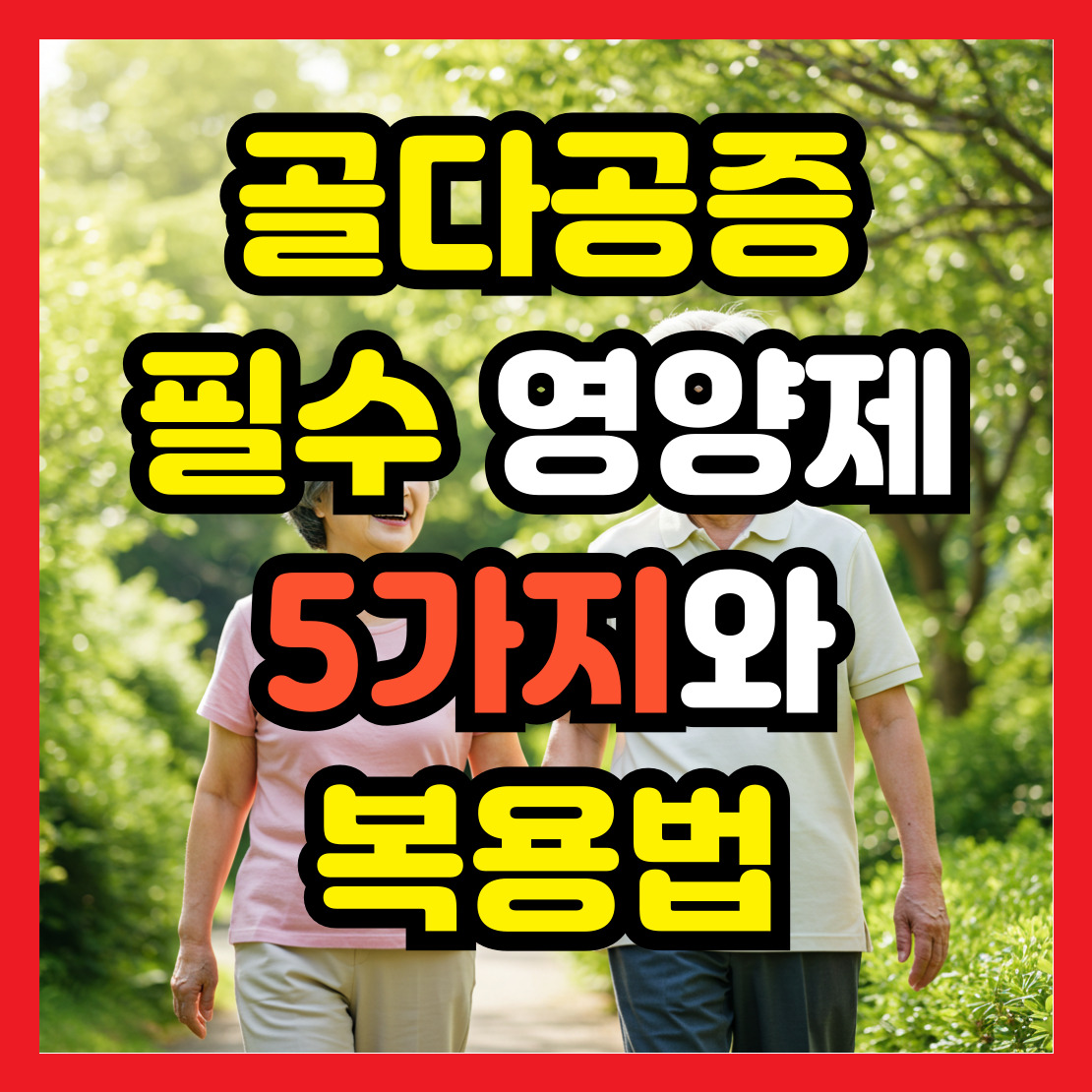 골다공증-필수-영양제
